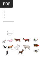 Rabbit Digestive System Anatomy Guide | PDF | Stomach ...