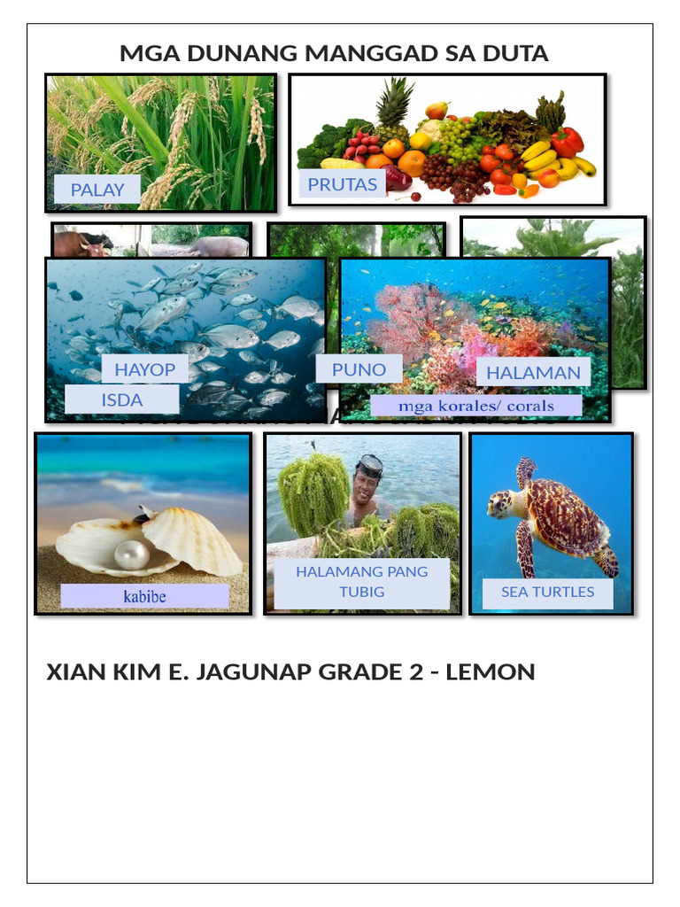 Xian Project | PDF