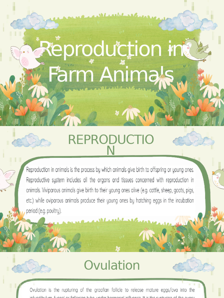 Reproduction in Farm Animals | PDF