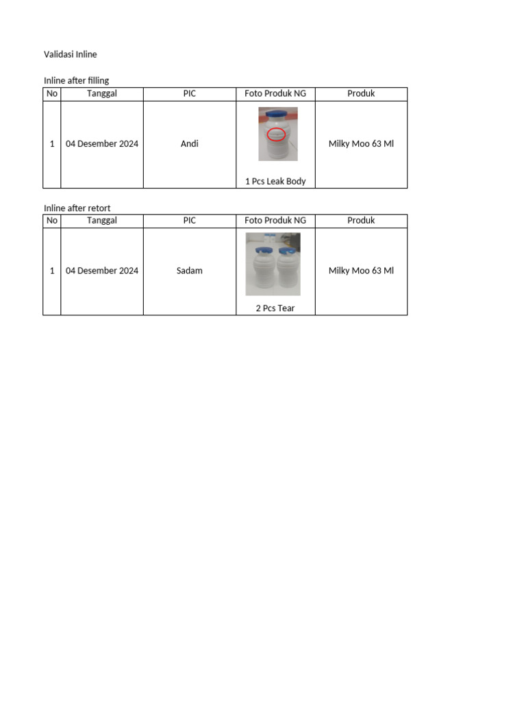 Validasi Inline | PDF
