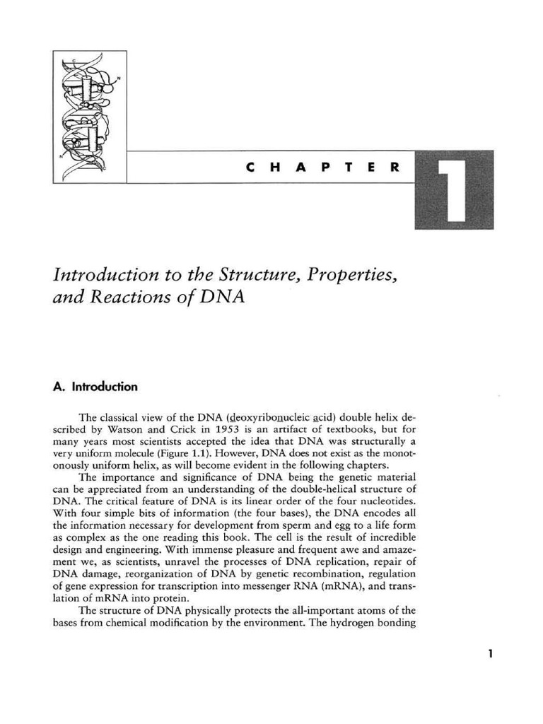 DNA Structure, Properties, and Reactions | PDF