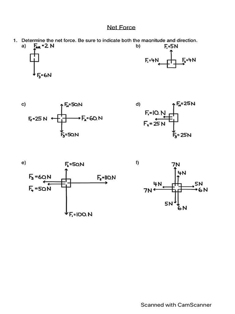 Net Force Practice | PDF