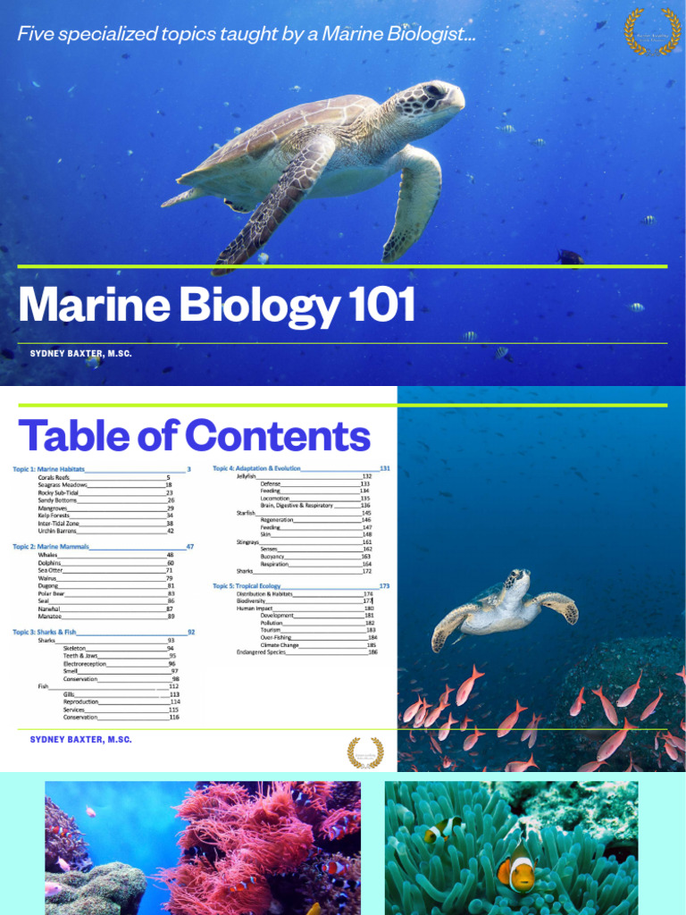 Lecture+1+ +Marine+Habitats | PDF | Coral | Coral Reef
