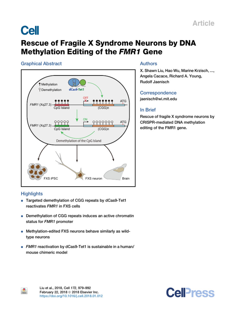 Rescue of Fragile X Syndrome Neurons by DNA Methylation Editing of The ...