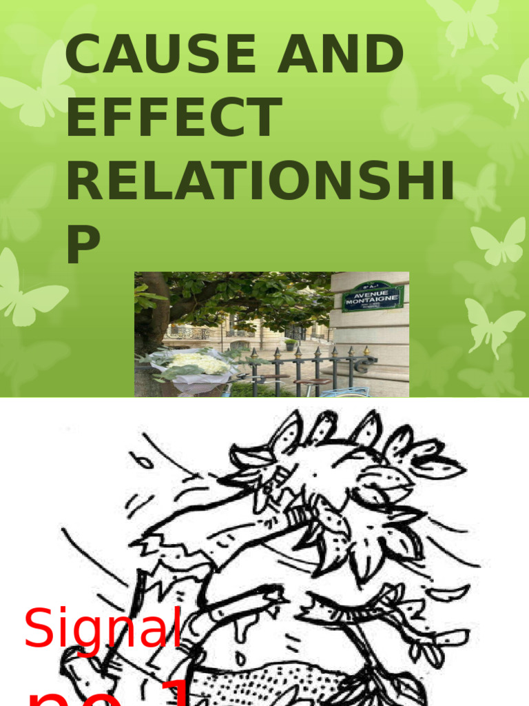 Understanding Cause and Effect | PDF