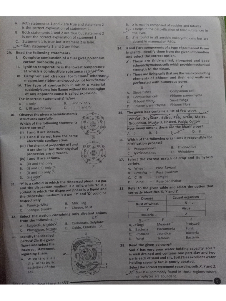 Science Olympiad | PDF