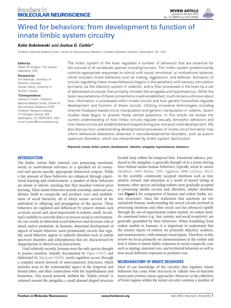 Limbic System's Role in Innate Behaviors | PDF | Hypothalamus | Amygdala