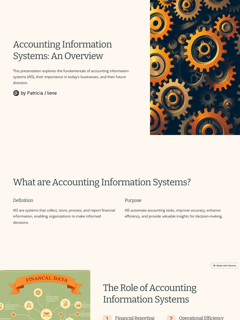 Accounting Information Systems An Overview | PDF | Security | Computer ...