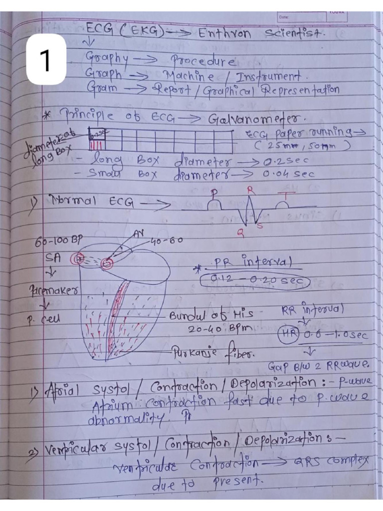 ECG | PDF