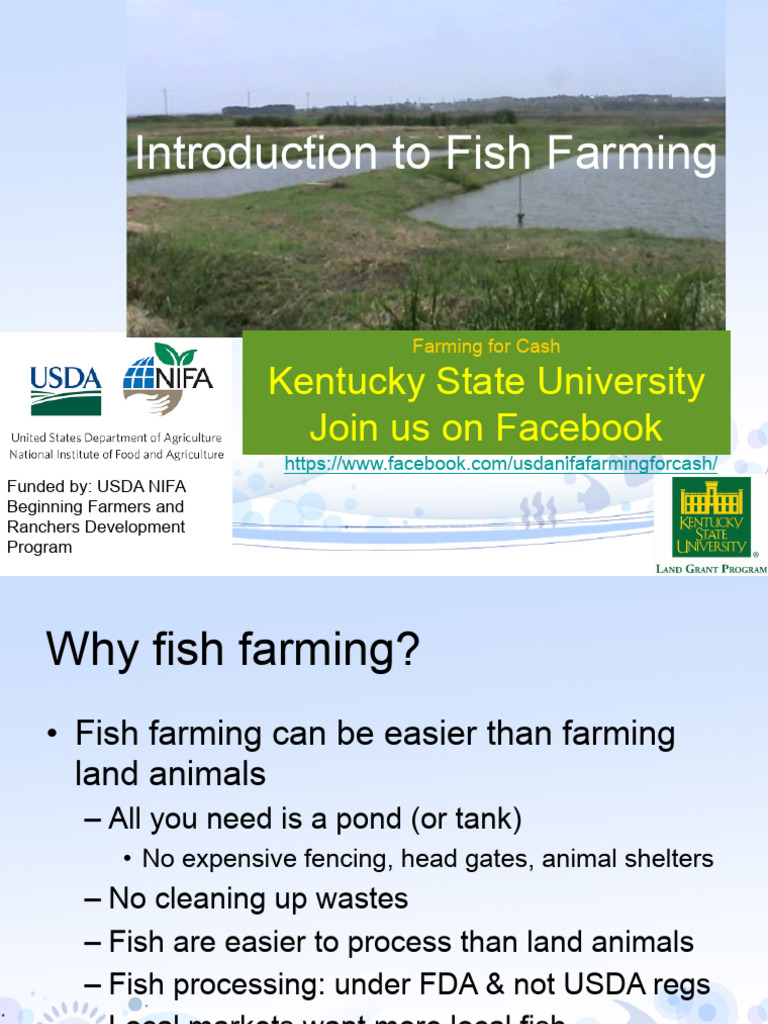 Guide to Starting a Catfish Farm in KY | PDF | Pond | Water