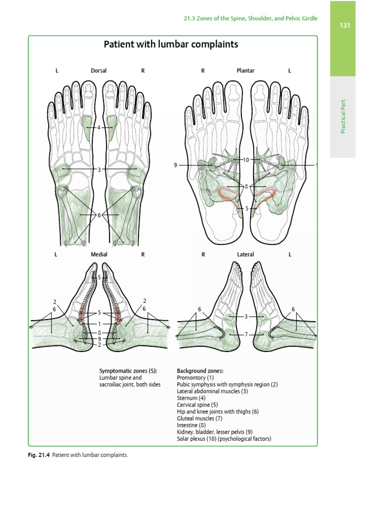 Lumbar Spine and Pelvic Girdle Zones | PDF | Pelvis | Human Anatomy