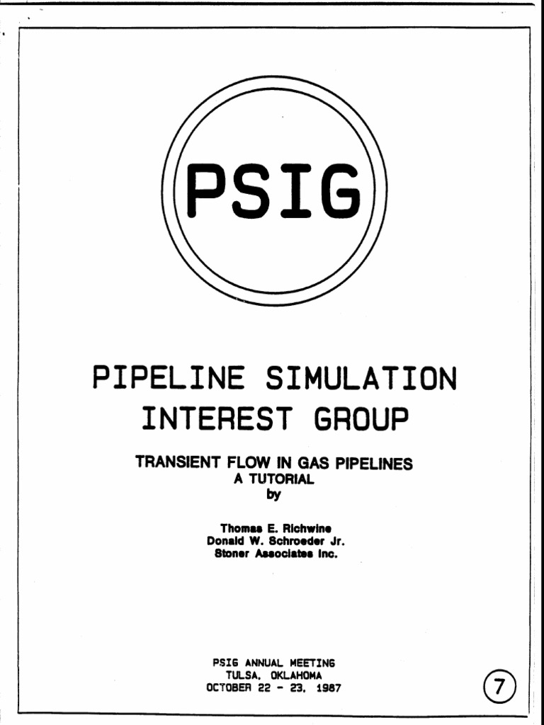 Pipeline Steady-State Simulation Tutorial | PDF | Steady State | Gases