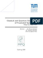 Philipp Hans-Jürgen Hauke - Classical and Quantum Simulations of Frustrated Spin Models