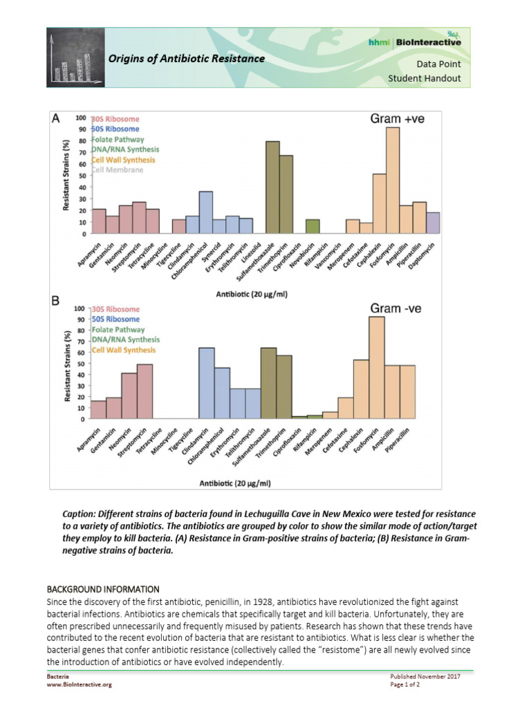 Antibiotic StudentHO DP | PDF | Bacteria | Antimicrobial Resistance