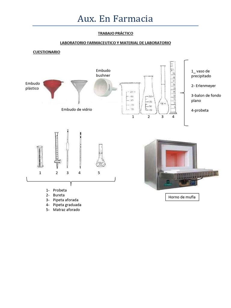 Tp. Lab Farm y Elementos de Lab Gonzalez Elena | PDF | Calidad ...