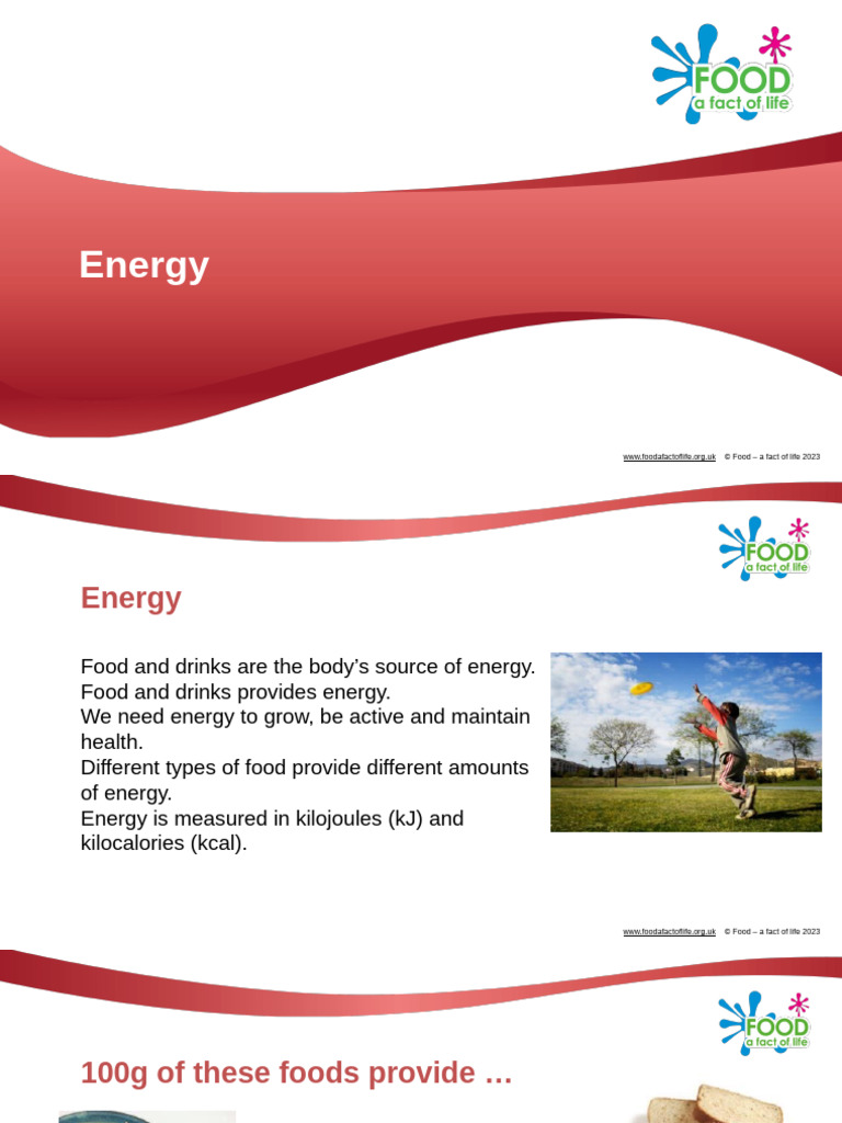Energy in Food | PDF | Calorie | Quantity