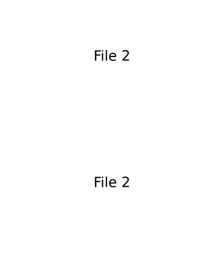 File 2 | PDF