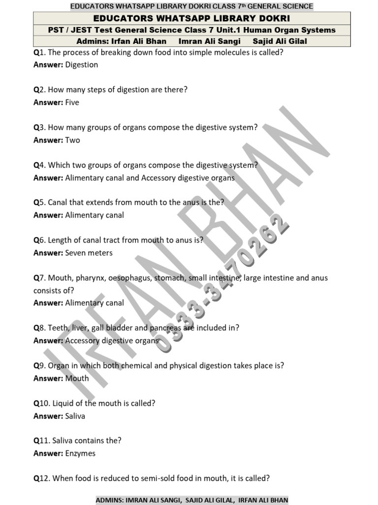 Class 7 Science Digest: Human Systems | PDF | Digestion | Heart