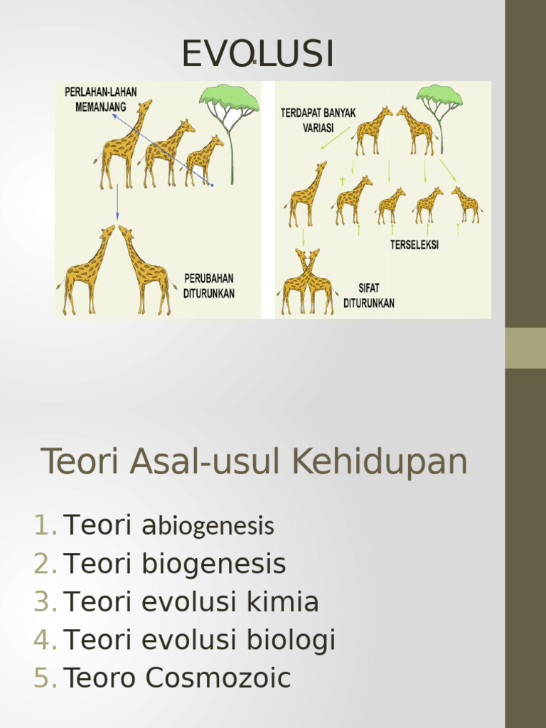 Teori Asal Usul Kehidupan di …