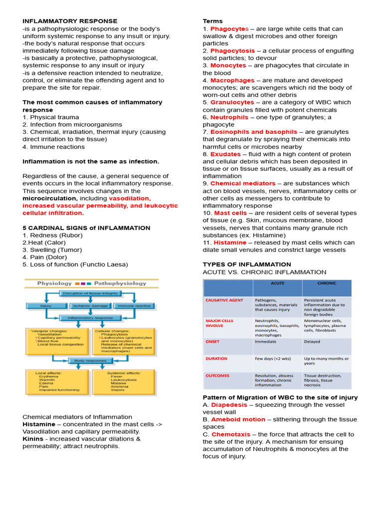 INFLAMMATORY RESPONSE PHYSIOLOGY visual data 2