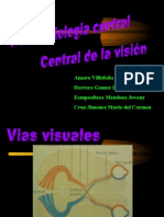 Vias Visuales, Funcion Del Nucleo Geniculado Lateral Dorsal
