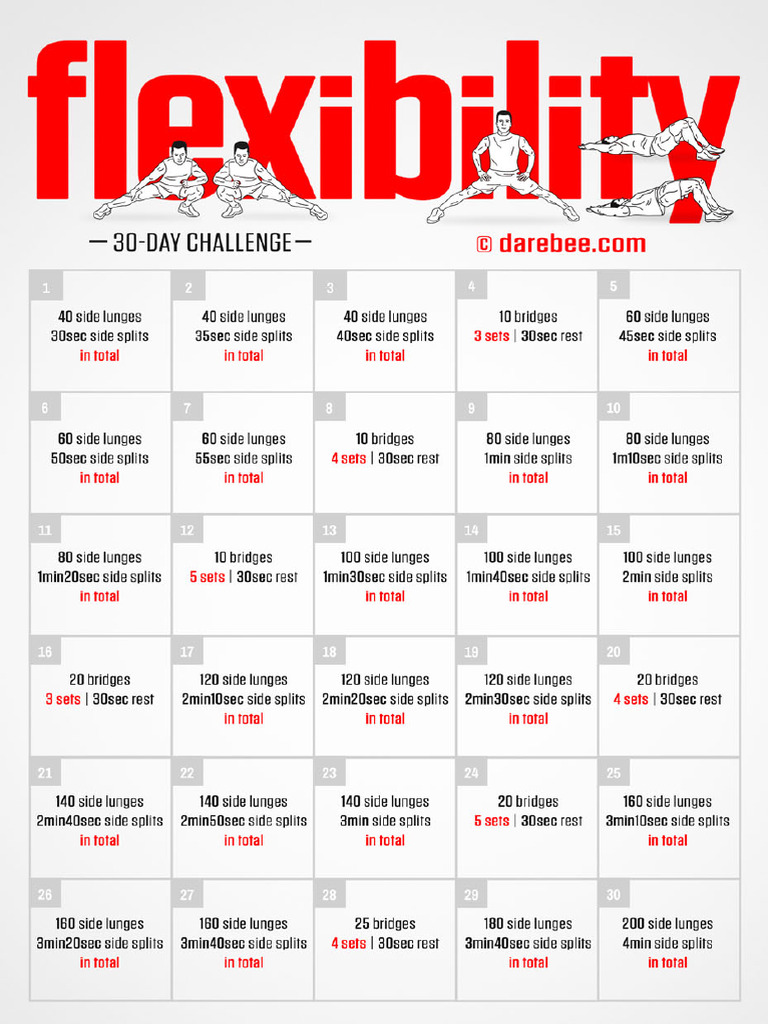 Flexibility Challenge | PDF
