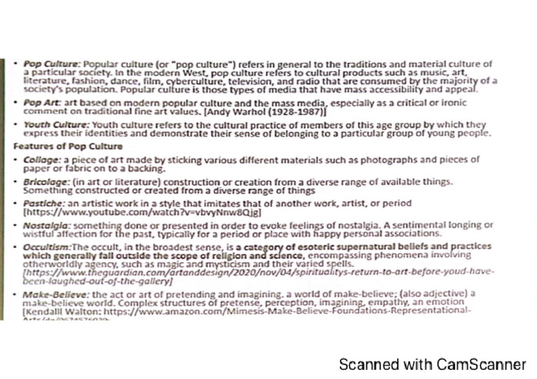 Pop Culture Terms | PDF