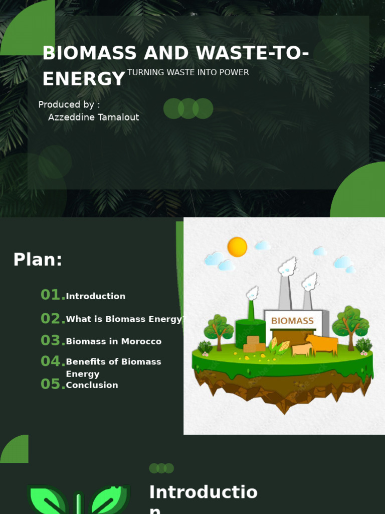 Biomass and Waste to Energy | PDF | Biogas | Waste