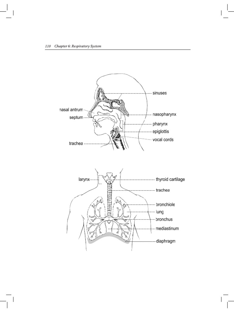 Rida Body | PDF