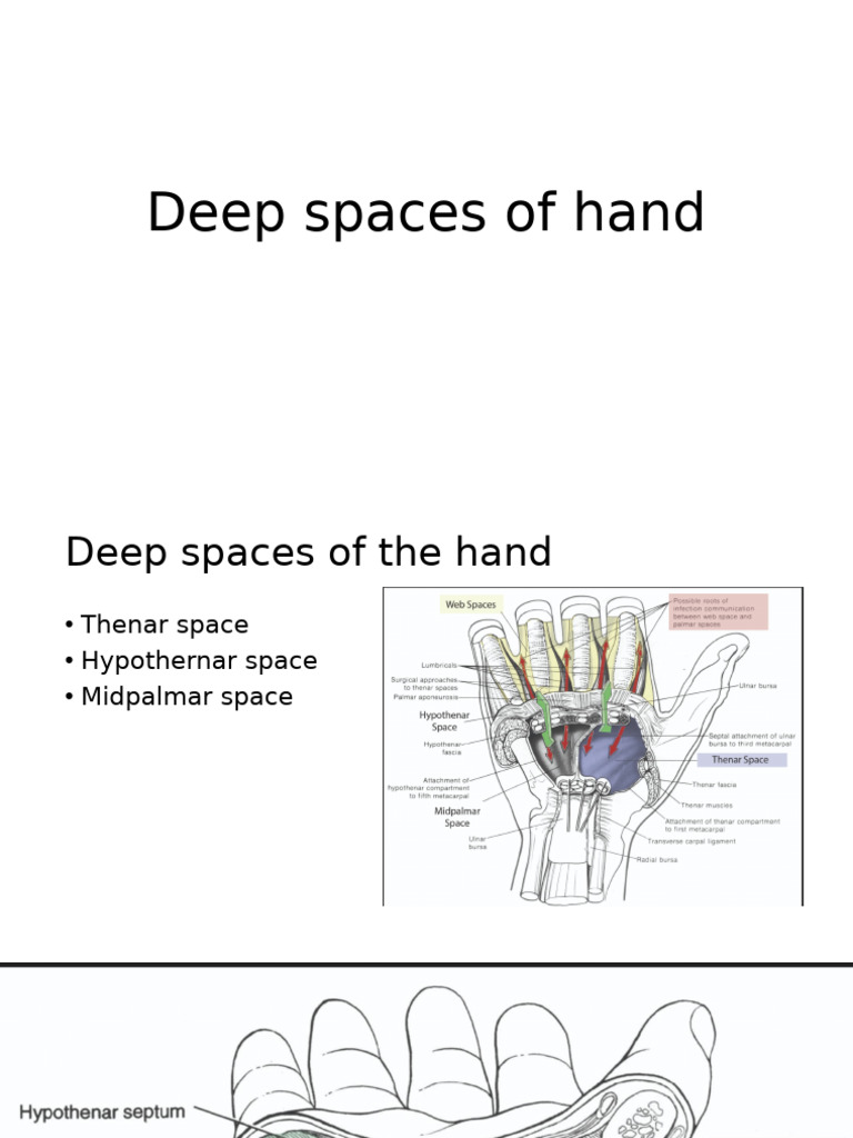 Deep Spaces of the Hand Explained | PDF