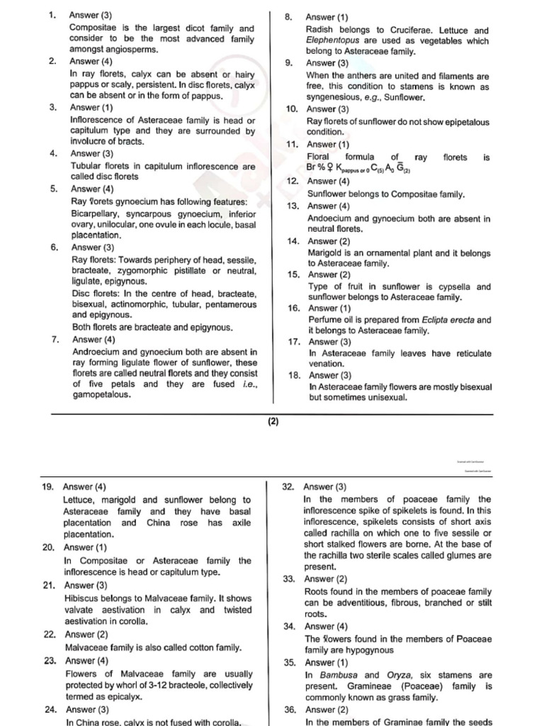 NF Sol | PDF