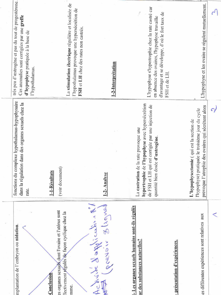 Scan Doc - 20241101 - 0001 | PDF