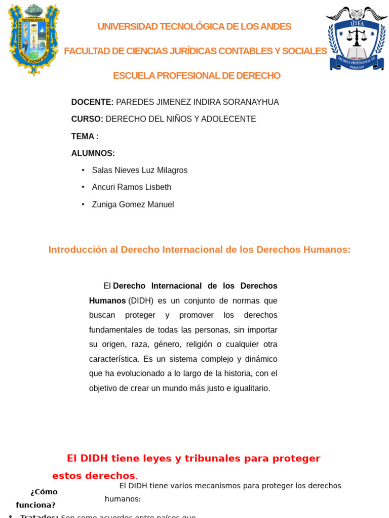 Introducción al Derecho Internacional de Derechos Humanos | PDF ...