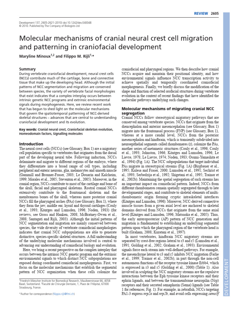 11° Molecular mechanisms of cranial neural crest cell migration and ...