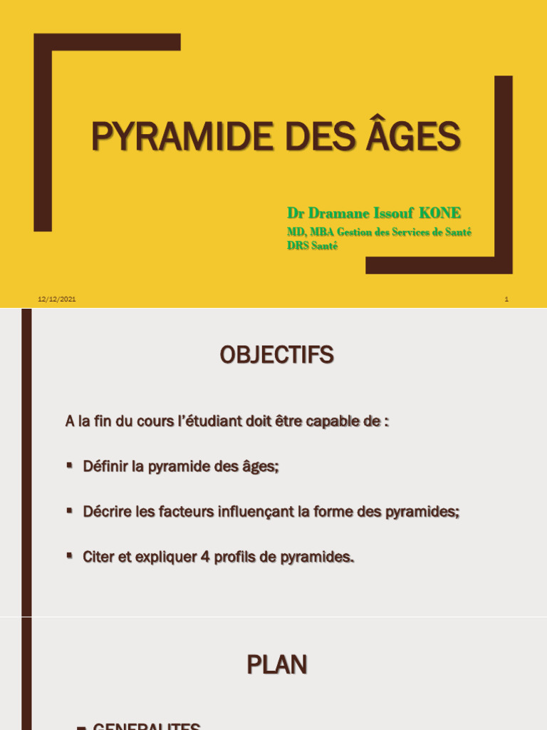 Pyramide Des Âges | PDF