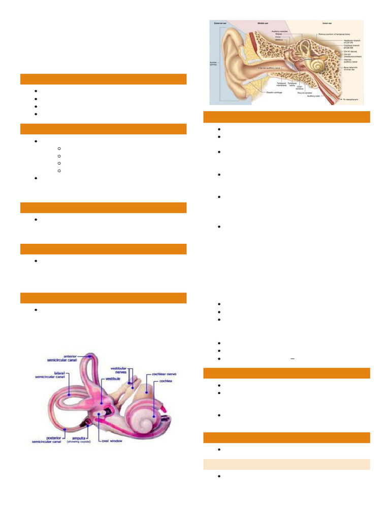Ear Function Disorders and Assessment | PDF | Ear | Hearing