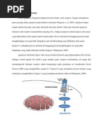Download MEKANISME APOPTOSIS by Rista U-nine SN81810456 doc pdf