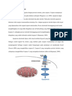 MEKANISME APOPTOSIS