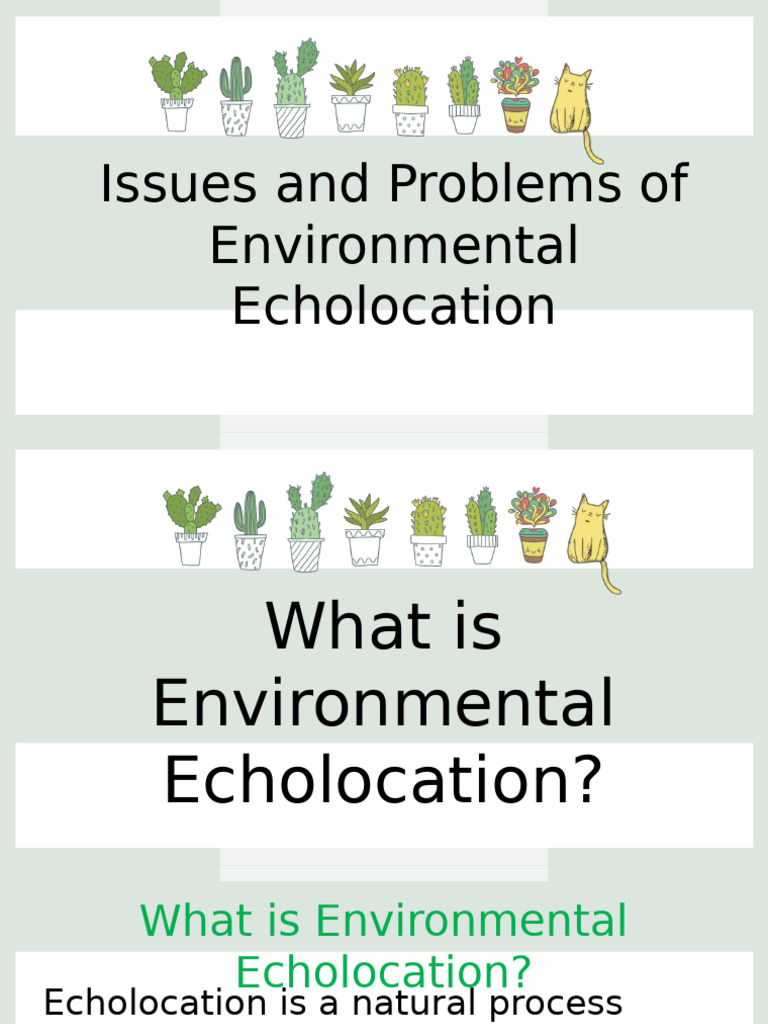 ENVIRONMENTAL-ISSUES | PDF | Natural Environment | Sustainability