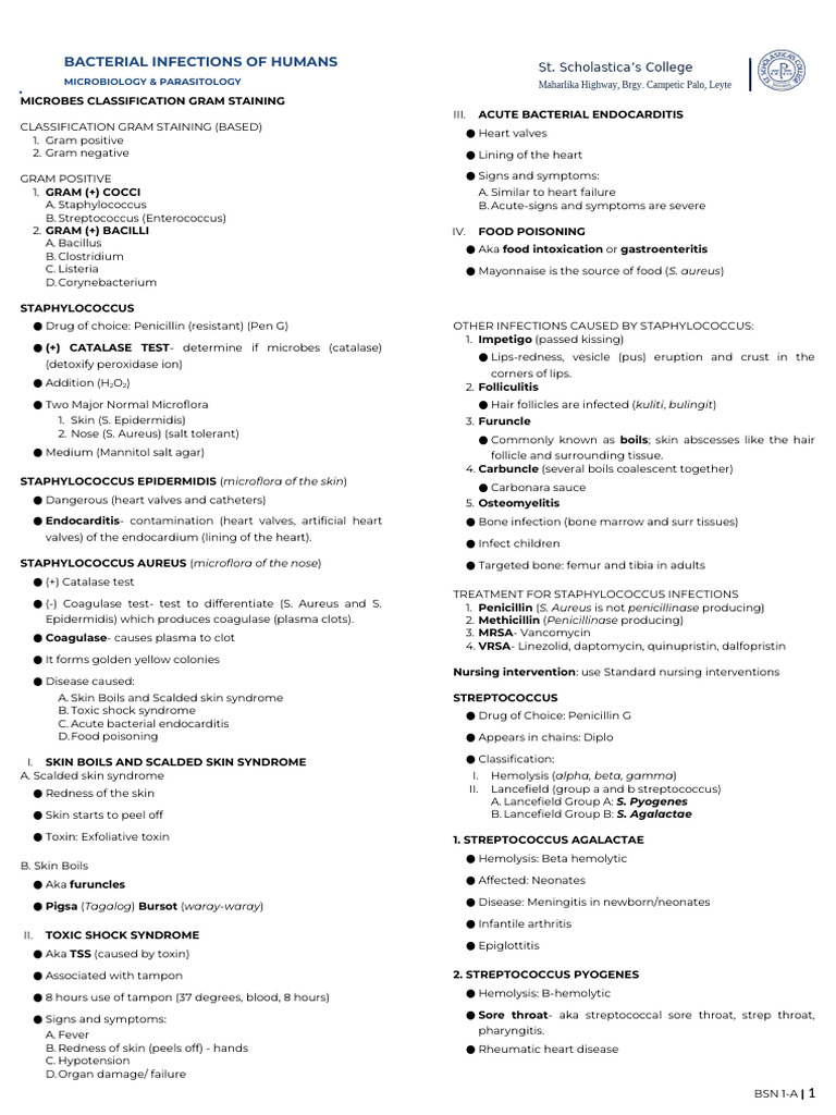 Bacterial Infections: Staphylococcus & Streptococcus | PDF ...