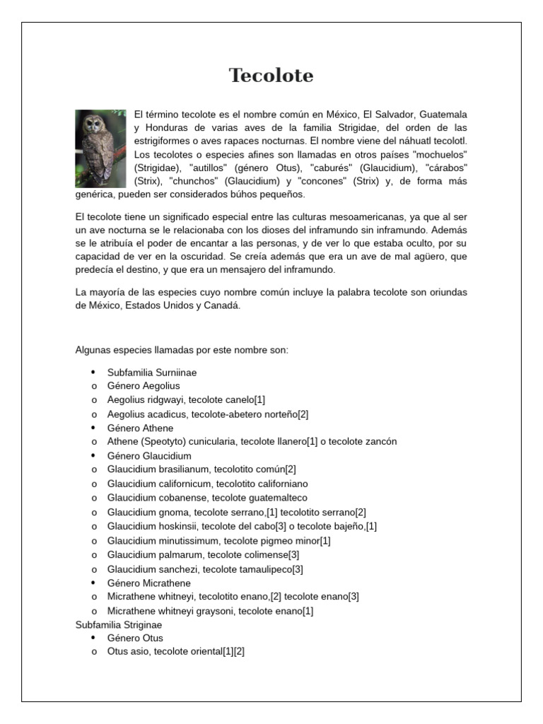 Tecolote: Ave nocturna y su cultura | PDF | Búho | Aves de américa del ...