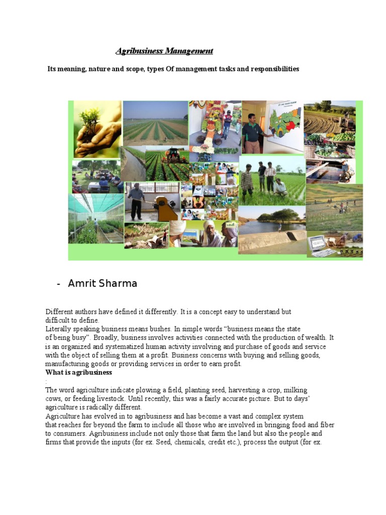Agribusiness Management Organic Farming Farms