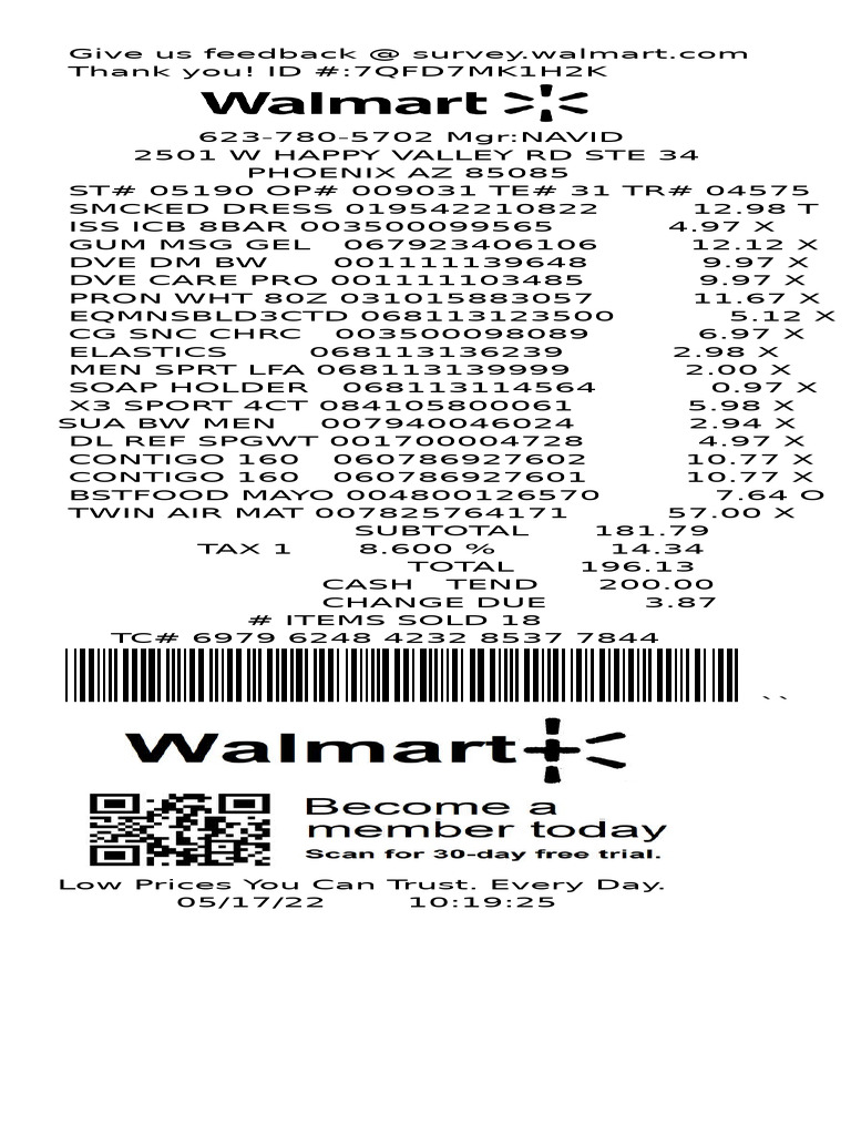 Walmart Receipt Summary and Details | PDF