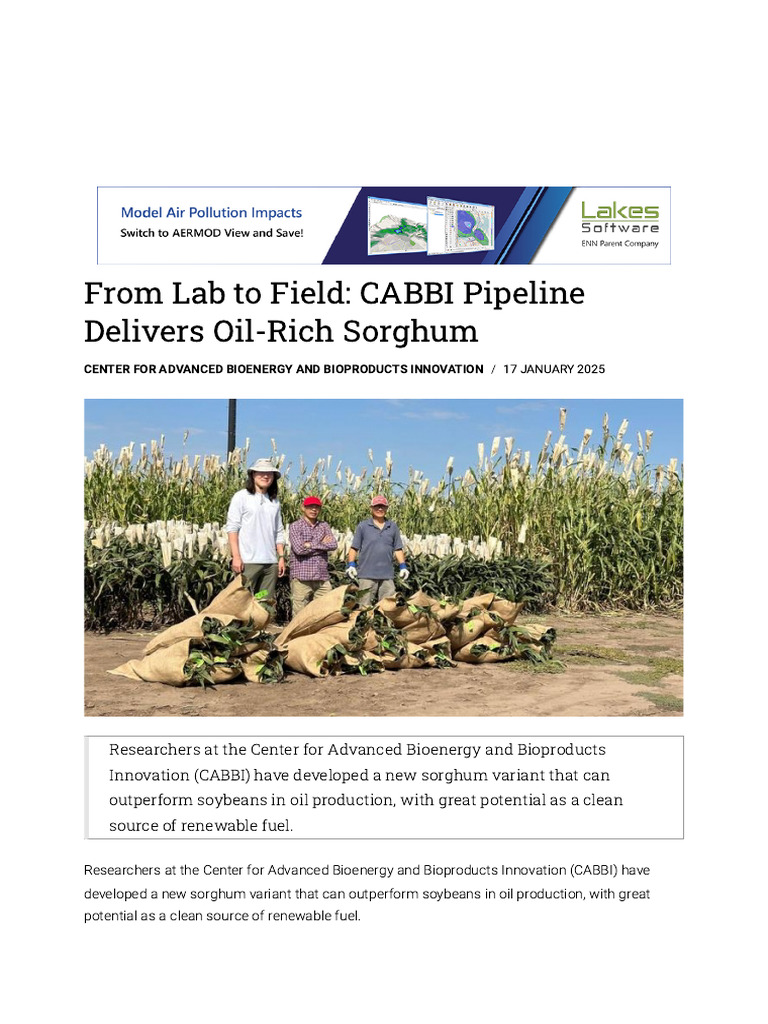 CABBI's Oil-Rich Sorghum Breakthrough | PDF