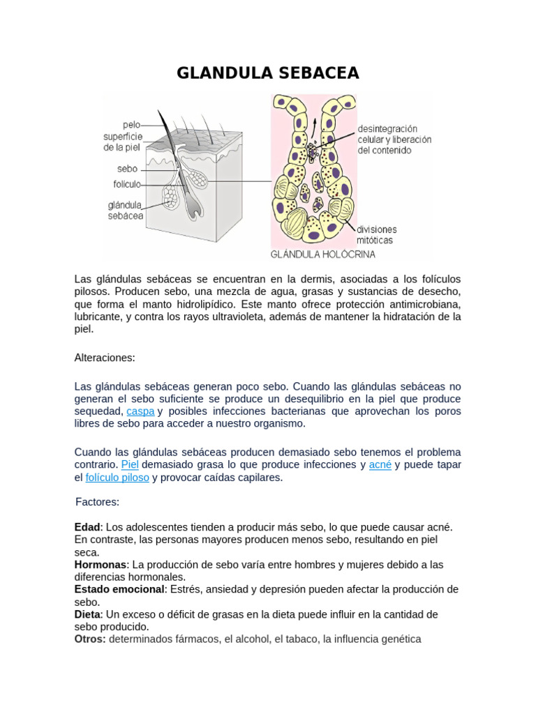 gl-ndulas-seb-ceas-funci-n-y-alteraciones-pdf