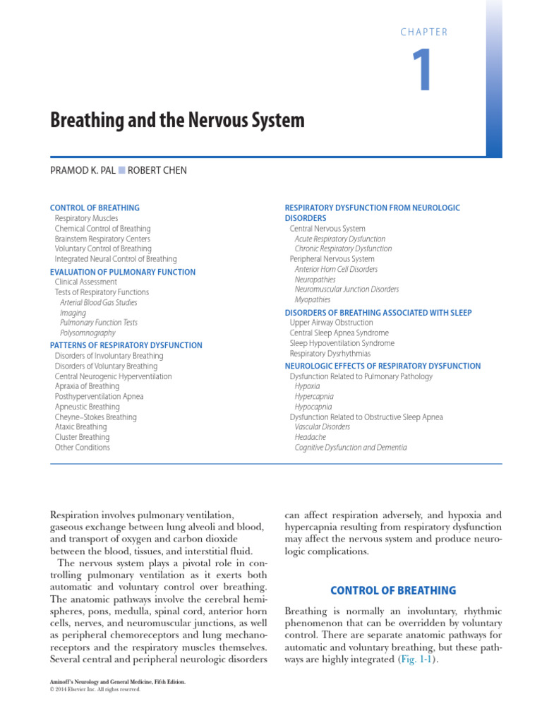 Neurology of Breathing Control | PDF | Breathing | Respiratory System
