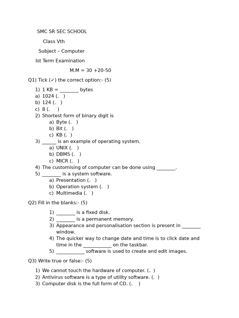 Class 5 Computer Term 1 Exam Paper | PDF