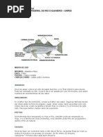 Apostila de Peixes Exata 1