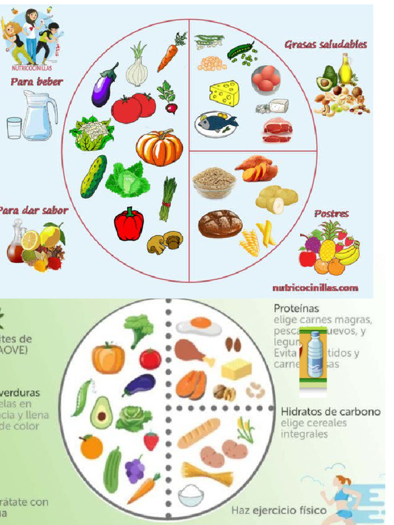 Grupos De Alimentos Pdf