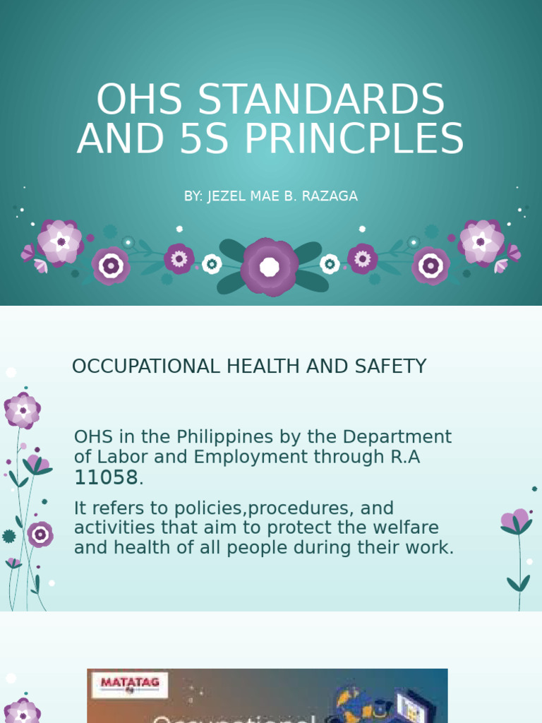 OHS Standards and 5S Principles Guide | PDF